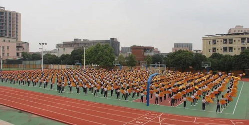 喜报 崇文小学大课间获全市一等奖