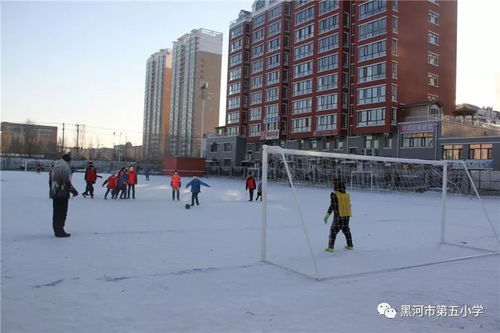 黑河市第五小学教育集团开展 希望杯 雪地足球赛