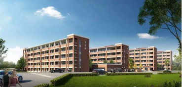 抢先看 同安后田小学建筑方案效果图曝光啦