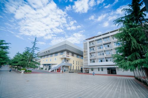 2021年成都高新区小升初多校划片计划公布 明日报名