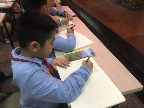湿地城市 海南自由贸易试验区建设 ......海口学校教材书写 海南情怀