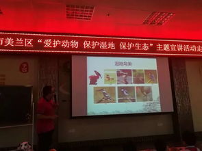青年之声 美兰团讯 2018美兰区 爱护动物 保护湿地 保护生态 主题宣讲活动走进海口市英才小学