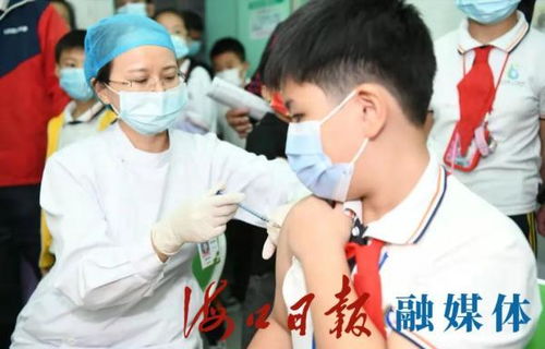 海口3 11岁人群第一剂累计接种31.07万剂 市卫健委呼吁未接种儿童尽快接种