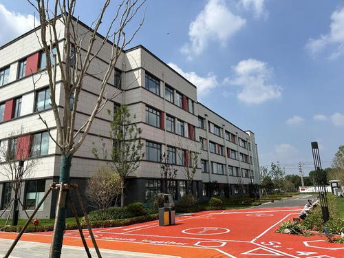 秋实累累,金色启航丨秋日开学季 济南市这几所中小学 上新