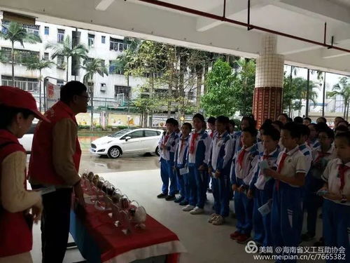 青年之声 美兰团讯 共青团美兰区委 人人参与禁毒 构建美丽美兰 禁毒主题宣传活动走进海口市英才小学
