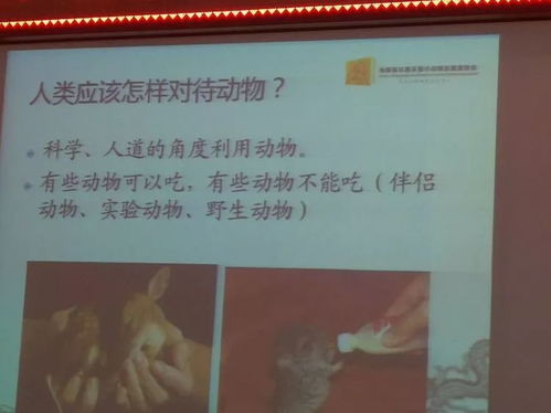 青年之声 美兰团讯 2018美兰区 爱护动物 保护湿地 保护生态 主题宣讲活动走进海口市英才小学
