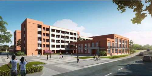 厦门市新建学校概览与海口市英才小学简介