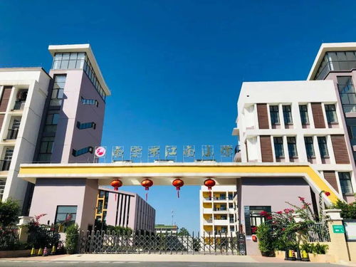 2021年荣和公园童子军暑期集训营在海口市英才小学开营