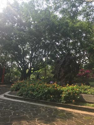 寻找春天——海口市英才小学三五班游记